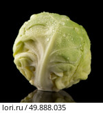 Fresh brussels sprouts isolated on black background. Стоковое фото, агентство Ingram Publishing / Фотобанк Лори