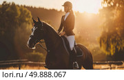 A woman is riding on the back of a brown horse, both moving forward in an outdoor setting. Стоковое AI-изображение, AI-художник Данила Большаков / Фотобанк Лори