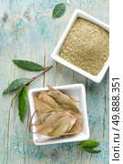 bay leaf. Стоковое фото, агентство Ingram Publishing / Фотобанк Лори
