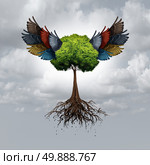 Team power successful team concept as a group of diverse bird wings uniting and coming together to lift a tree to a journey of success. Стоковое фото, агентство Ingram Publishing / Фотобанк Лори
