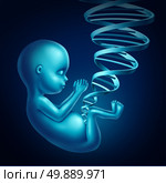 Fetus dna medical concept as a human unborn child inside a pregnant woman with a double helix strand shaped as an umbilical cord as a medical prenatal gene therapy and cloning symbol as a 3D illustration. Стоковое фото, агентство Ingram Publishing / Фотобанк Лори