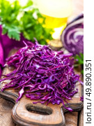 scotch kale. Стоковое фото, агентство Ingram Publishing / Фотобанк Лори