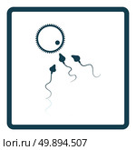 Sperm and egg cell icon. Shadow reflection design. Vector illustration. Стоковая иллюстрация, агентство Ingram Publishing / Фотобанк Лори