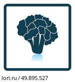 Cauliflower icon. Shadow reflection design. Стоковое фото, агентство Ingram Publishing / Фотобанк Лори