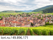 Riquewihr in the heart of the Alsatian vineyard Alsace France. Стоковое фото, агентство Ingram Publishing / Фотобанк Лори