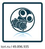 Omlet and sandwich icon. Shadow reflection design. Vector illustration. Стоковая иллюстрация, агентство Ingram Publishing / Фотобанк Лори
