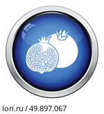 Icon of Pomegranate. Glossy button design. Vector illustration. Стоковая иллюстрация, агентство Ingram Publishing / Фотобанк Лори