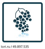 Icon of Black currant. Shadow reflection design. Vector illustration. Стоковая иллюстрация, агентство Ingram Publishing / Фотобанк Лори