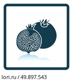 Icon of Pomegranate. Shadow reflection design. Vector illustration. Стоковая иллюстрация, агентство Ingram Publishing / Фотобанк Лори