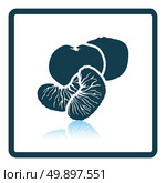 Icon of Mandarin. Shadow reflection design. Vector illustration. Стоковая иллюстрация, агентство Ingram Publishing / Фотобанк Лори