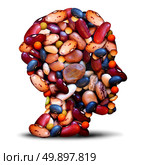 Bean and lentil idea as a group of fava soy red black beans in a pile shaped as a human head as a healthy nutrition food concept on a white background. Стоковое фото, агентство Ingram Publishing / Фотобанк Лори