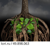 Difficult business growth concept as a large tree root obstacle trapping a determined smaller green sapling representing the idea of career or life struggle to prosper in a challenging situation. Стоковое фото, агентство Ingram Publishing / Фотобанк Лори