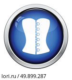 Sexy corset icon. Glossy button design. Vector illustration. Стоковая иллюстрация, агентство Ingram Publishing / Фотобанк Лори