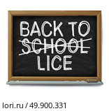 School lice problem as a medical concept with with text written on a classroom blackboard as a symbol for the danger of student infestation of parasitic nits or eggs from the hair of students as a symbol of infection and treatment as a 3D illustration. Стоковое фото, агентство Ingram Publishing / Фотобанк Лори