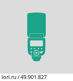 Icon of portable photo flash. Gray background with green. Vector illustration. Стоковая иллюстрация, агентство Ingram Publishing / Фотобанк Лори