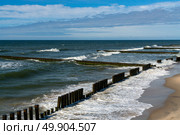 View of the Baltic Sea and wooden breakwaters of the city beach on a summer day, Svetlogorsk, Kaliningrad region, Russia. Стоковое фото, фотограф Ula Ulachka / Фотобанк Лори