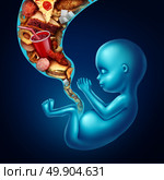 Unhealthy pregnancy diet symbol or eating junk food as a prenatal maternity problem with a fetus being fed with a group of high cholesterol food as risky baby nutrition symbol with 3D illustration elements. Стоковое фото, агентство Ingram Publishing / Фотобанк Лори
