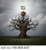 Support the future concept and foundation and trust symbol as an old tree lifting up a potted young plant as a hope for new business or life metaphor with 3D illustration elements. Стоковое фото, агентство Ingram Publishing / Фотобанк Лори