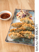 Korean Style Gyoza, Vegeterian Potstickers with soy sauce and pork. Стоковое фото, агентство Ingram Publishing / Фотобанк Лори