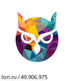 vector owl logo. Isolated blue and yellow vector owl logo illustration school emblem Graduation symbol. Стоковая иллюстрация, агентство Ingram Publishing / Фотобанк Лори