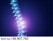 Back spine pain and human backache as a skeleton showing the spine and vertebral column in glowing highlight as a medical health care concept for spinal health and therapy as a 3D illustration. Стоковое фото, агентство Ingram Publishing / Фотобанк Лори