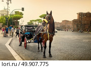 Rome, Italy - June 16, 2016. Horse on via dei Fori Imperiali in Rome with the view on Vittoriano. Редакционное фото, агентство Ingram Publishing / Фотобанк Лори