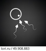 Sperm and egg cell icon. Black background with white. Vector illustration. Стоковая иллюстрация, агентство Ingram Publishing / Фотобанк Лори