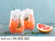 Grapefruit and thyme gin cocktail, refreshing drink with ice. Стоковое фото, агентство Ingram Publishing / Фотобанк Лори