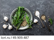 Rosemary, garlic, salt and white pepper, culinary background with various spices, directly above, flat lay, copy space. Стоковое фото, агентство Ingram Publishing / Фотобанк Лори