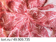 Wagyu A5 Beef meat texture for food background. Стоковое фото, агентство Ingram Publishing / Фотобанк Лори
