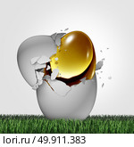 Wealth potential financial concept as a golden egg emerging out of an ordinary one as a business success metaphor for emerging markets or hidden money and tax shelter symbol with 3D illustration elements. Стоковое фото, агентство Ingram Publishing / Фотобанк Лори