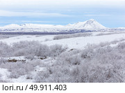 Winter landscape with snow covered trees at Dimmuborgir Lake Myvatn, Iceland. Стоковое фото, агентство Ingram Publishing / Фотобанк Лори