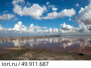 Столбы-сваи розового, солёного озера Сасык-Сиваш. Крым. Стоковое фото, фотограф Сергей Афанасьев / Фотобанк Лори