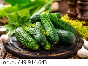 Canning cucumbers. Стоковое фото, агентство Ingram Publishing / Фотобанк Лори