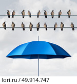 Prepared for the inevitable and ready for anticipated trouble as a group of birds on wires with an open umbrella anticipating and planning for eventual certainty with 3D illustration elements. Стоковое фото, агентство Ingram Publishing / Фотобанк Лори