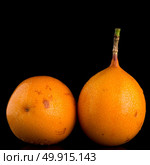 Passion fruit maracuja granadilla on black background. Стоковое фото, агентство Ingram Publishing / Фотобанк Лори