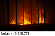 Intense nighttime forest fire erupting in a dramatic blaze of orange flames engulfing tall dark trees. Стоковое AI-изображение, AI-художник Андрей Бакусов / Фотобанк Лори
