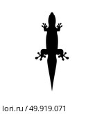 Lizard icon . Стоковая иллюстрация, агентство Ingram Publishing / Фотобанк Лори