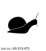 Snail silhouette icon . Стоковая иллюстрация, агентство Ingram Publishing / Фотобанк Лори