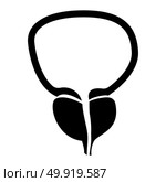 The prostate gland and bladder icon . Стоковая иллюстрация, агентство Ingram Publishing / Фотобанк Лори