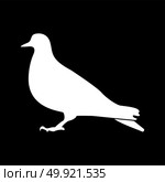 Dove white color icon .. Dove it is white color icon . Стоковая иллюстрация, агентство Ingram Publishing / Фотобанк Лори