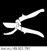 Secateur it is icon .. Secateur it is icon . Flat style . Стоковая иллюстрация, агентство Ingram Publishing / Фотобанк Лори