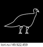 Turkeycock  white icon . Стоковая иллюстрация, агентство Ingram Publishing / Фотобанк Лори