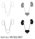 Bladder and kidney   the black and grey color set icon .. Bladder and kidney   it is the black and grey color set icon . Стоковая иллюстрация, агентство Ingram Publishing / Фотобанк Лори
