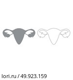 Uterus grey set  grey set  icon .. Uterus grey set  icon . Стоковая иллюстрация, агентство Ingram Publishing / Фотобанк Лори