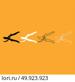 Secateur icon . Стоковая иллюстрация, агентство Ingram Publishing / Фотобанк Лори