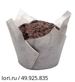 Closeup of a Magdalena Typical Spanish Chocolate Muffin. Sweet Food or Dessert. One Fresh Baked Muffin Isolated on White Background in American Style. Irresistible Tasty Cake. Стоковое фото, агентство Ingram Publishing / Фотобанк Лори
