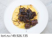 Beef Stew with omelet. Стоковое фото, агентство Ingram Publishing / Фотобанк Лори
