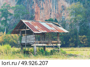 Wood cottage in paddy rice field, countryside of Thailand. Стоковое фото, агентство Ingram Publishing / Фотобанк Лори