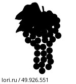 Grape or bunch of grape icon.. Grape or bunch of grape black icon. Стоковая иллюстрация, агентство Ingram Publishing / Фотобанк Лори
